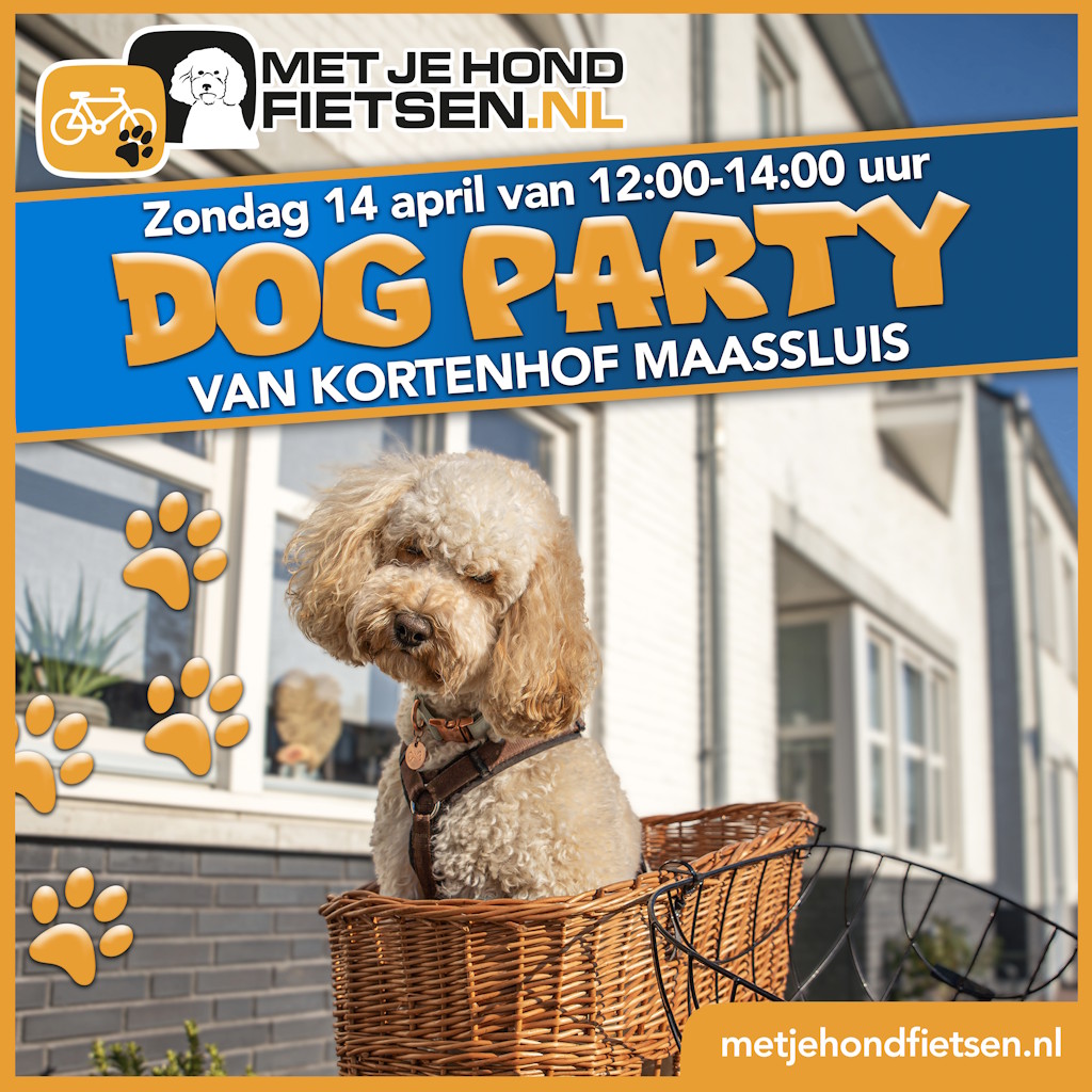 Wat is er allemaal te beleven?